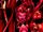 Satana Hellstrom (Earth-9997) Paradise X Vol 1 9.jpg