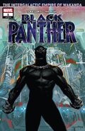 Black Panther Vol 7 (2018–2021) 25 issues