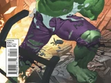 Marvel Knights: Hulk Vol 1 1