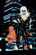 Spider-Man Black Cat The Evil That Men Do Vol 1 3 Textless