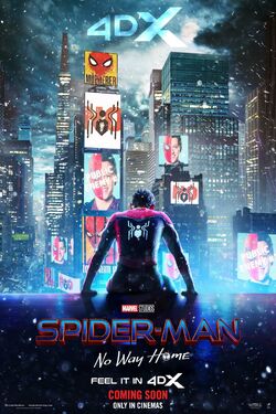 Spider-Man No Way Home poster 010.jpg