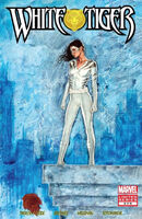 White Tiger #5 "A Hero's Compulsion (Part V of VI) - New Powers" Release date: April 11, 2007 Cover date: May, 2007