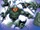 Adaptoids from Avengers Vol 5 26 002.jpg