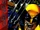 Wolverine: Adamantium Rage
