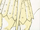 Yellow Arrow (Earth-TRN913)