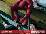 Daredevil Vol 1 504