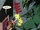 N'Garai from Darkhold Pages from the Book of Sins Vol 1 3 001.jpg