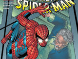Amazing Spider-Man Vol 1 506