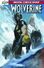 Return of Wolverine Vol 1 1 IGComicstore Exclusive Variant