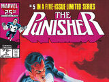 Punisher Vol 1 5