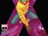 Marvels X Vol 1