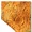 Nevada (State)