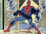 Peter Parker (Earth-616) and Felicia Hardy (Earth-616) from Peter Parker, The Spectacular Spider-Man Vol 1 76 002