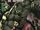 Incredible Hulk: Planet Hulk Prelude TPB Vol 1