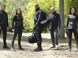 Marvel's Agents of S.H.I.E.L.D. Season 3 21