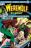 Werewolf by Night #14 "Lo, the Monster Strikes!" (February, 1974)