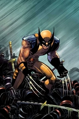 マーベル Wolverine Vol.3 #20～40 セット マーベル Wolverine Vol.3 #20～40 セット マーベル Wolverine Vol.3