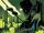 City-Mind from Royals Vol 1 11 002.jpg