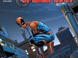 Spectacular Spider-Man Vol 2 2