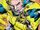 Henry Pym (Earth-26111)
