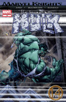 Incredible Hulk Vol 2 76