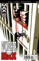 Punishermax #12