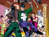 Punisher Vol 2 20