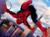 Spider-Man (Peter Parker)/Galeria