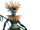 Namora (Earth-13178)