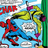 Lunatik kicks Spider-Man