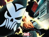 Punisher Vol 13 6