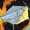 Apocalypse's Space Station