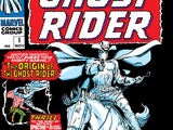 Ghost Rider Vol 1 1