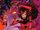 Scarlet Witch Vol 4 10