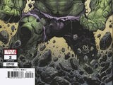 Incredible Hulk Vol 4 2