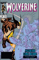 Wolverine (Vol. 2) #16 "The Gehenna Stone Affair!: Part Six of Six - Electric Warriors" Release date: July 25, 1989 Cover date: November, 1989