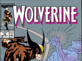 Wolverine Vol 2 16