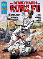 Deadly Hands of Kung Fu #21 "Iron Fist, the Living Weapon Part 3: And When I Died" Release date: January 6, 1976 Cover date: February, 1976