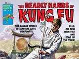 Deadly Hands of Kung Fu Vol 1 21