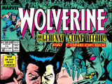 Wolverine Vol 2 11