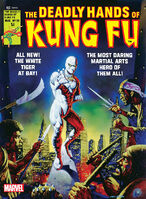 Deadly Hands of Kung Fu Vol 1 22