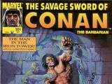 Savage Sword of Conan Vol 1 201