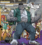 Bruce Banner (Earth-616) from Hulk Vol 2 7 0001