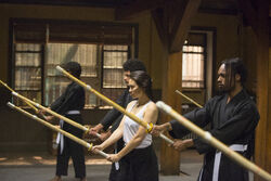 Chikara Dojo from Marvel's Iron Fist Season 1 1.jpg