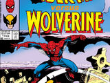 Spider-Man Versus Wolverine Vol 1 1