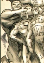 Spider-Man was killed by by Norman Osborn at the Avengers Mansion (Earth-TRN1193)