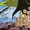 Chronopolis Fantastic Four Annual Vol 1 25.jpg