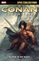 Epic Collection Conan Chronicles Vol 1 8