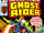 Ghost Rider Vol 2 25