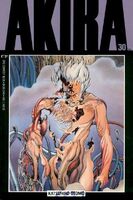 Akira #30 "Arms Race" Release date: May 14, 1991 Cover date: July, 1991